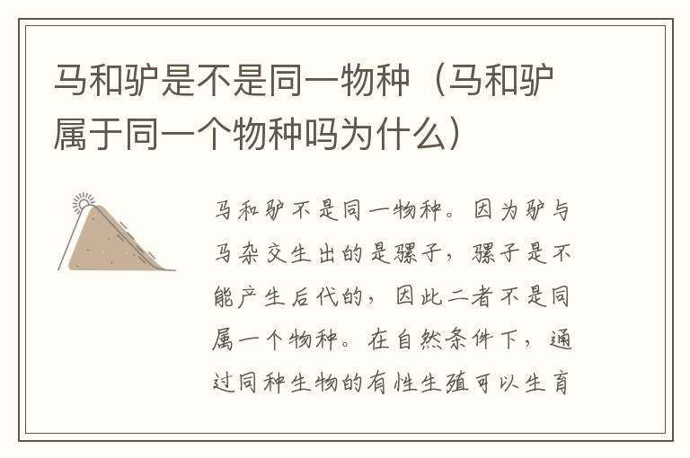马和驴是不是同一物种（马和驴属于同一个物种吗为什么）
