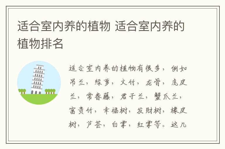 适合室内养的植物 适合室内养的植物排名