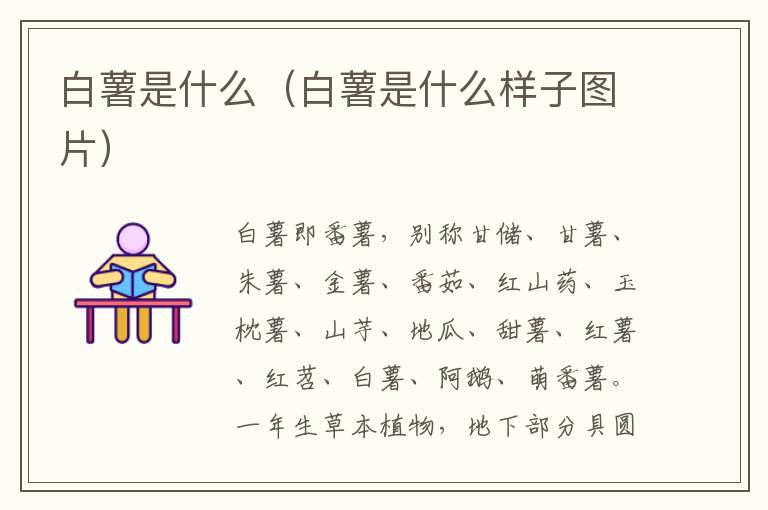 白薯是什么（白薯是什么样子图片）