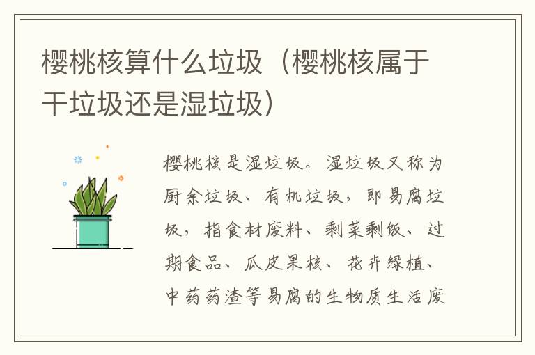 樱桃核算什么垃圾（樱桃核属于干垃圾还是湿垃圾）
