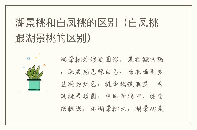 湖景桃和白凤桃的区别（白凤桃跟湖景桃的区别）