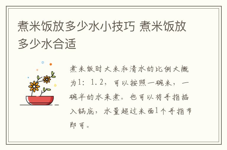 煮米饭放多少水小技巧 煮米饭放多少水合适