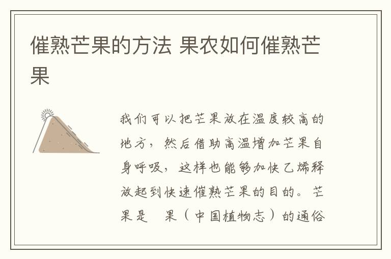 催熟芒果的方法 果农如何催熟芒果