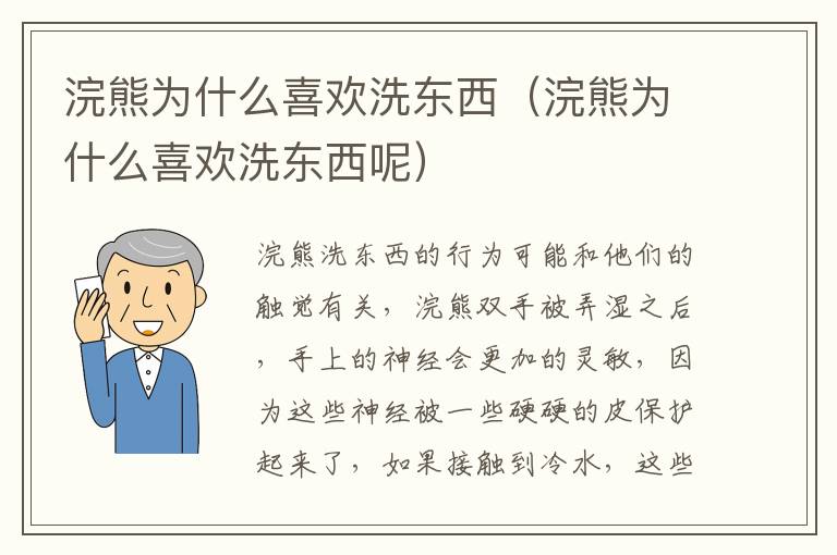 浣熊为什么喜欢洗东西（浣熊为什么喜欢洗东西呢）