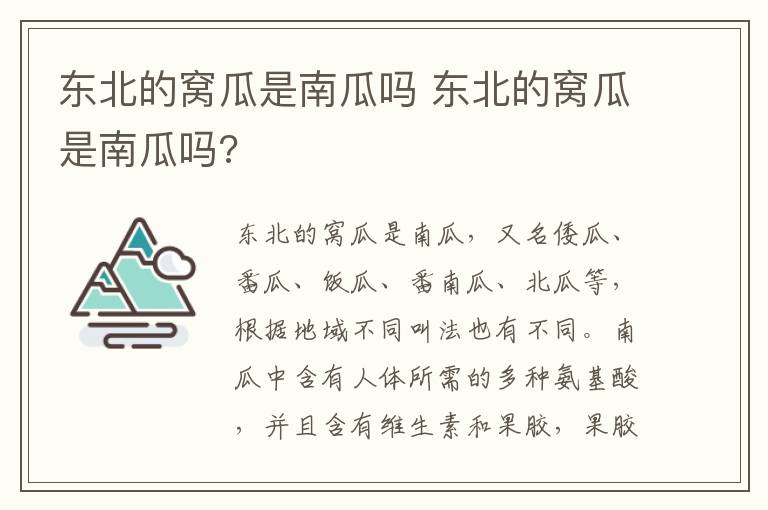 东北的窝瓜是南瓜吗 东北的窝瓜是南瓜吗?