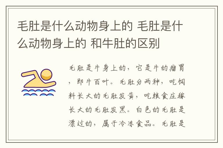 毛肚是什么动物身上的 毛肚是什么动物身上的 和牛肚的区别