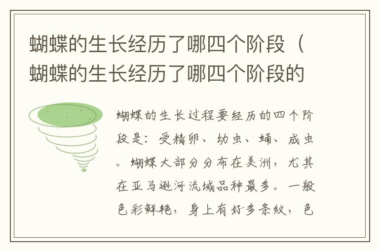 蝴蝶的生长经历了哪四个阶段（蝴蝶的生长经历了哪四个阶段的变化）