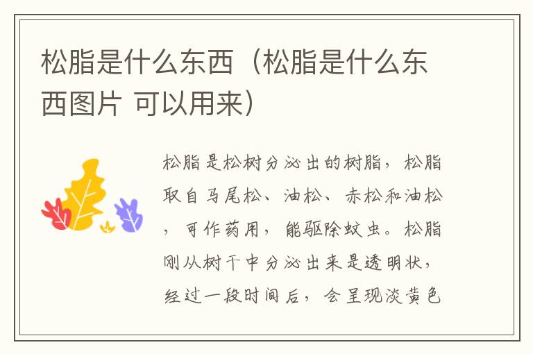 松脂是什么东西（松脂是什么东西图片 可以用来）