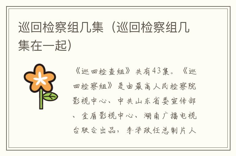 巡回检察组几集（巡回检察组几集在一起）