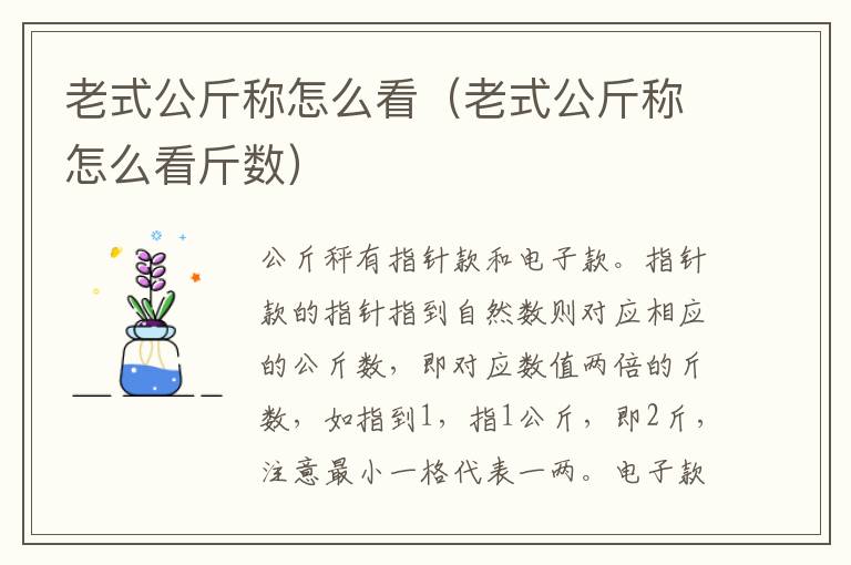 老式公斤称怎么看（老式公斤称怎么看斤数）
