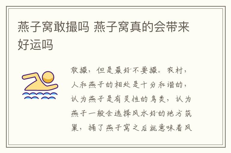 燕子窝敢撮吗 燕子窝真的会带来好运吗