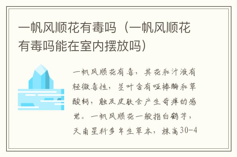 一帆风顺花有毒吗（一帆风顺花有毒吗能在室内摆放吗）