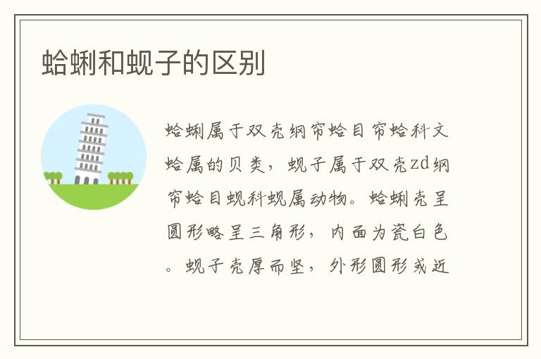 蛤蜊和蚬子的区别