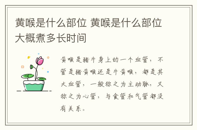 黄喉是什么部位 黄喉是什么部位大概煮多长时间