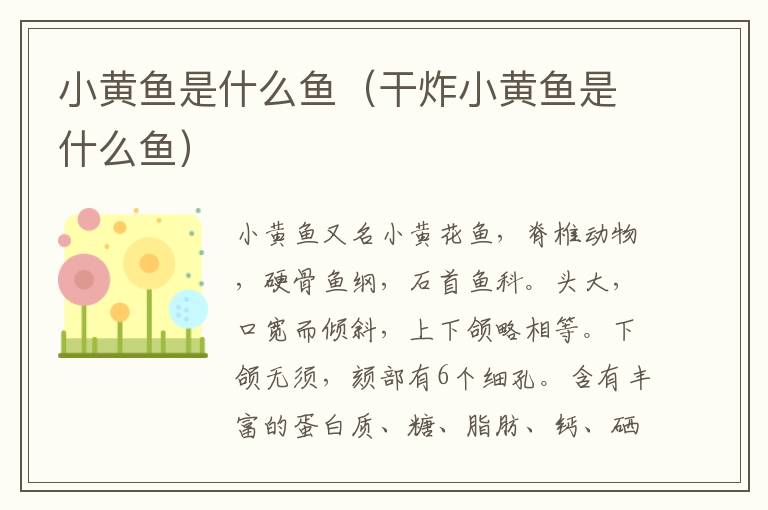 小黄鱼是什么鱼（干炸小黄鱼是什么鱼）