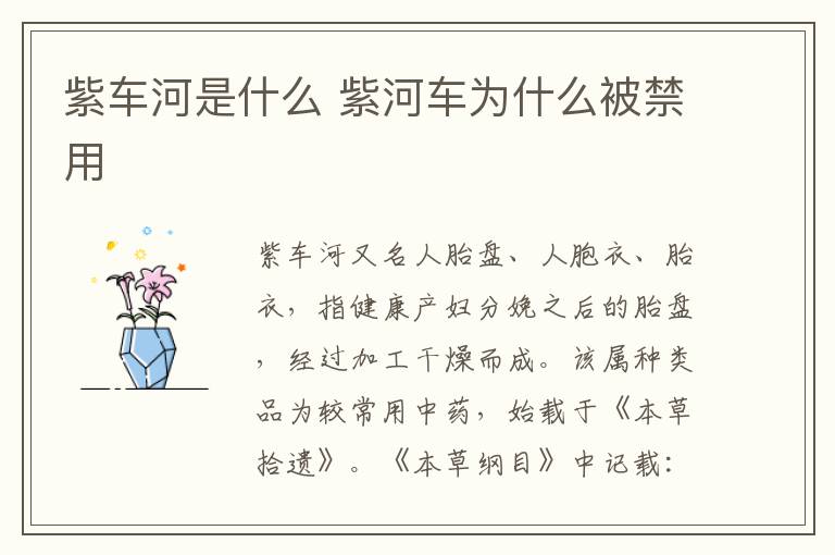 紫车河是什么 紫河车为什么被禁用
