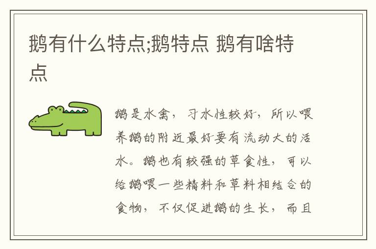 鹅有什么特点;鹅特点 鹅有啥特点
