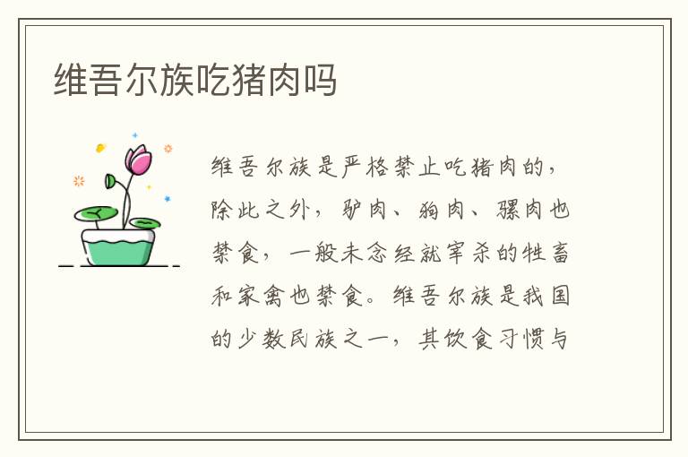 维吾尔族吃猪肉吗