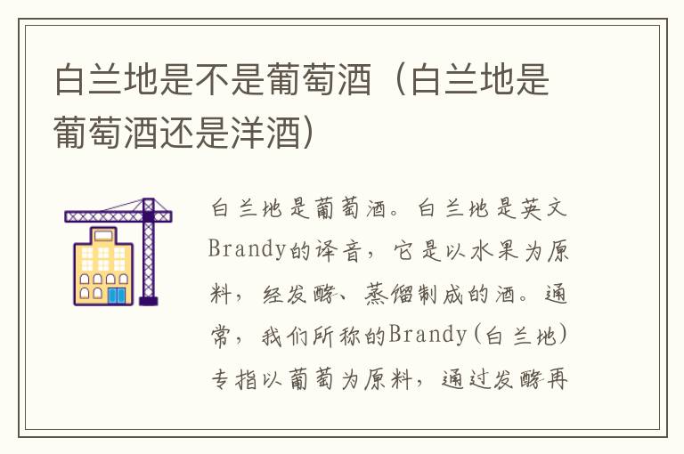 白兰地是不是葡萄酒（白兰地是葡萄酒还是洋酒）