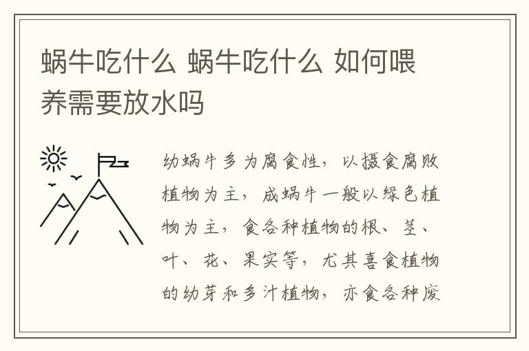 蜗牛吃什么 蜗牛吃什么 如何喂养需要放水吗