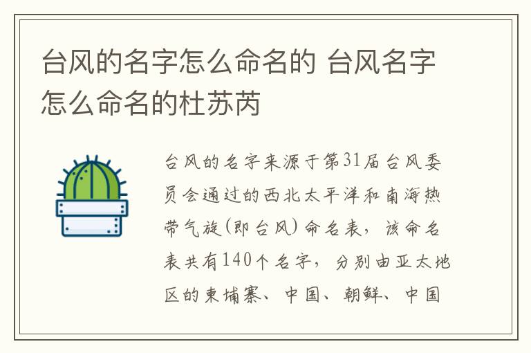 台风的名字怎么命名的 台风名字怎么命名的杜苏芮