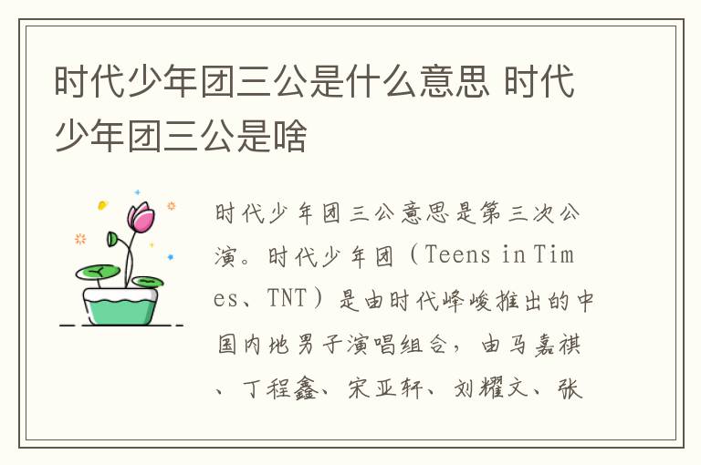 时代少年团三公是什么意思 时代少年团三公是啥
