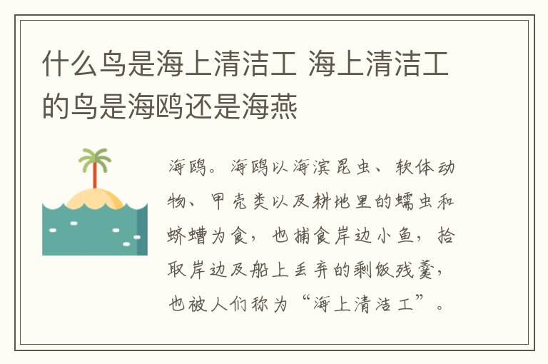 什么鸟是海上清洁工 海上清洁工的鸟是海鸥还是海燕