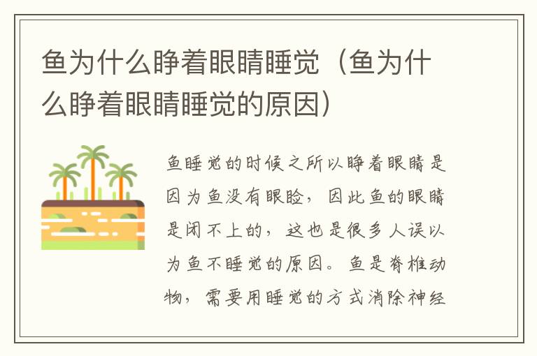 鱼为什么睁着眼睛睡觉（鱼为什么睁着眼睛睡觉的原因）