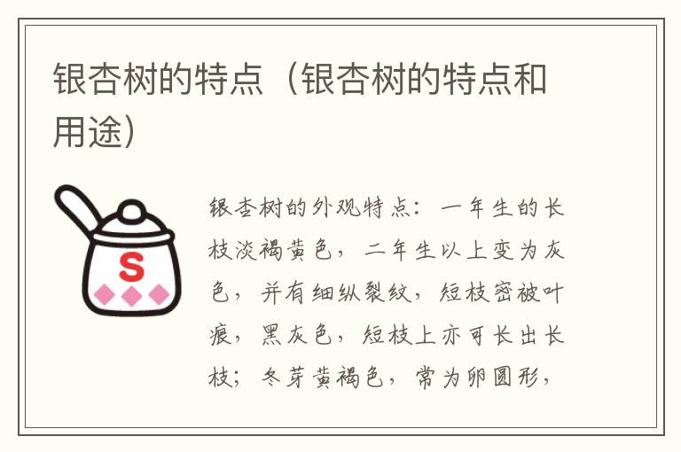 银杏树的特点（银杏树的特点和用途）