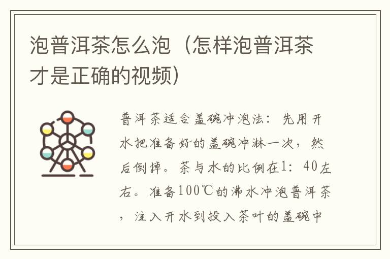 泡普洱茶怎么泡（怎样泡普洱茶才是正确的视频）