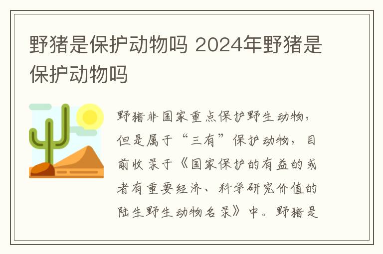 野猪是保护动物吗 2024年野猪是保护动物吗