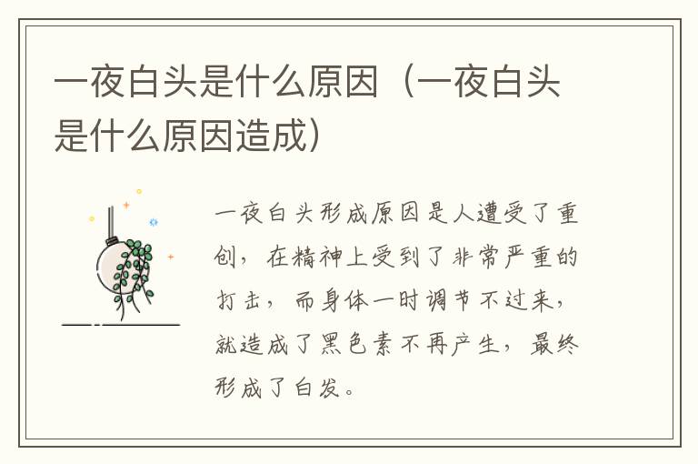 一夜白头是什么原因（一夜白头是什么原因造成）