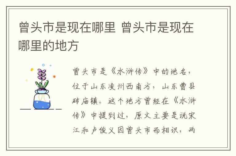 曾头市是现在哪里 曾头市是现在哪里的地方