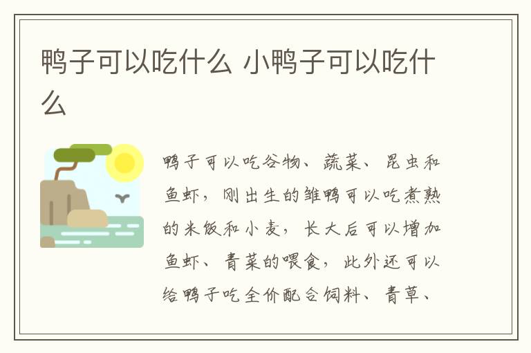 鸭子可以吃什么 小鸭子可以吃什么