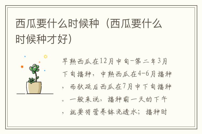 西瓜要什么时候种（西瓜要什么时候种才好）