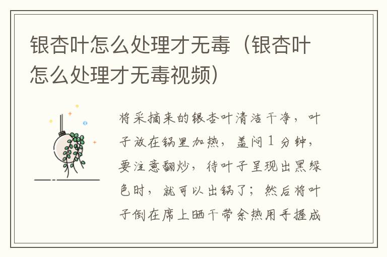 银杏叶怎么处理才无毒（银杏叶怎么处理才无毒视频）