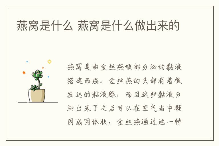 燕窝是什么 燕窝是什么做出来的