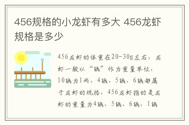 456规格的小龙虾有多大 456龙虾规格是多少