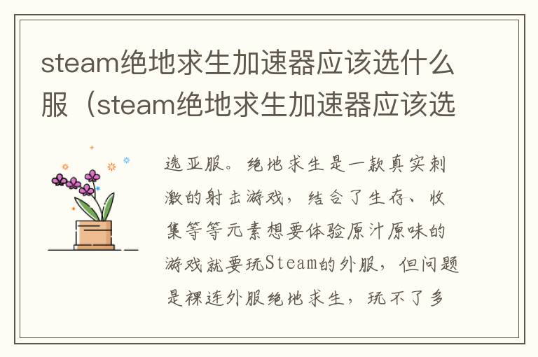 steam绝地求生加速器应该选什么服（steam绝地求生加速器应该选什么服务器好）
