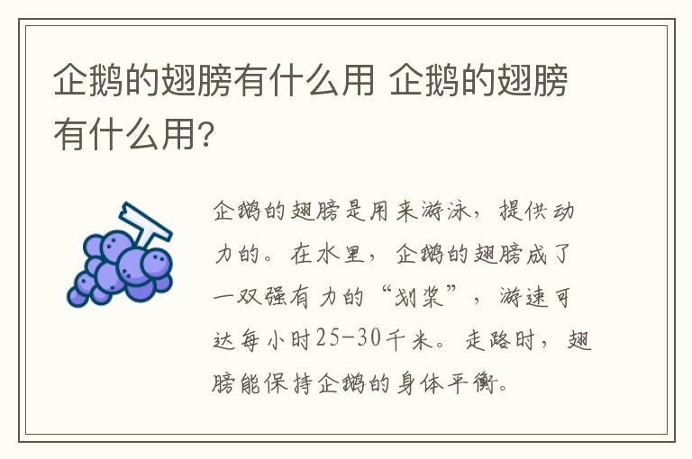 企鹅的翅膀有什么用 企鹅的翅膀有什么用?