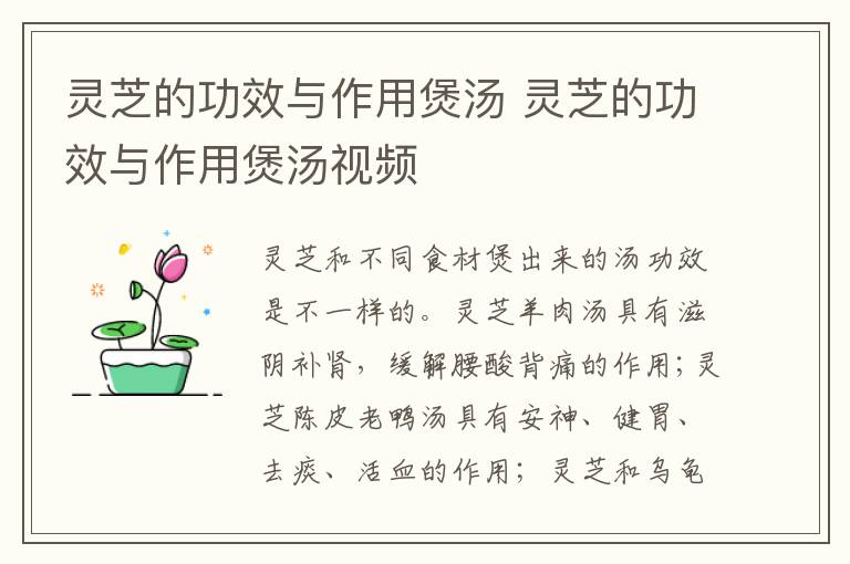 灵芝的功效与作用煲汤 灵芝的功效与作用煲汤视频