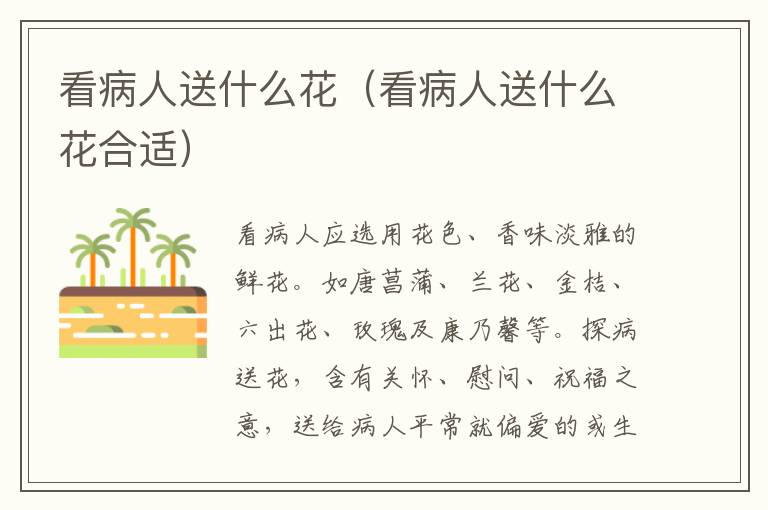 看病人送什么花（看病人送什么花合适）