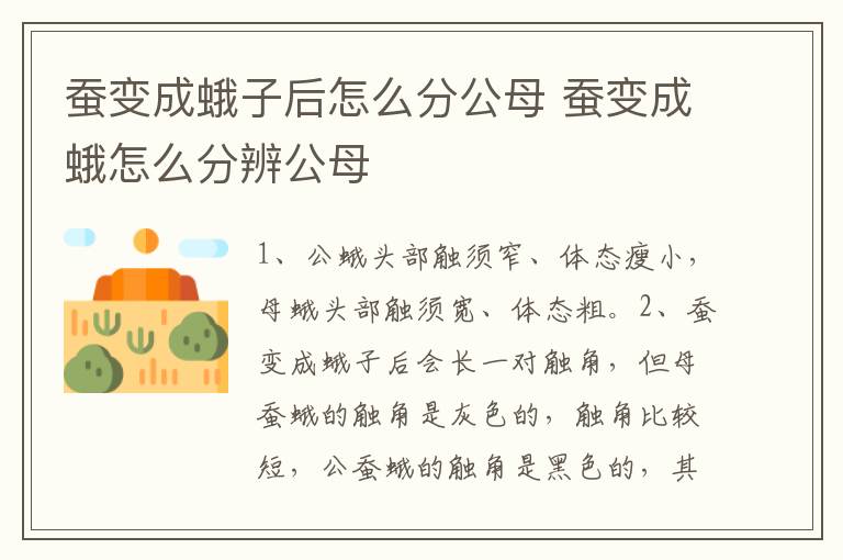蚕变成蛾子后怎么分公母 蚕变成蛾怎么分辨公母