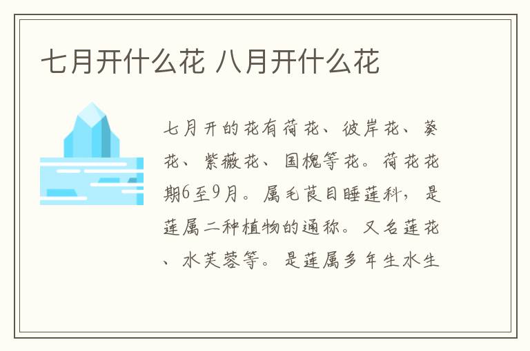 七月开什么花 八月开什么花