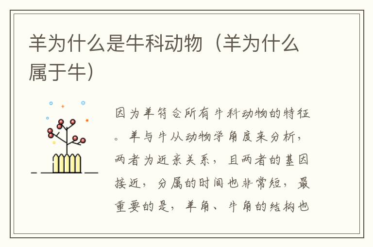 羊为什么是牛科动物（羊为什么属于牛）