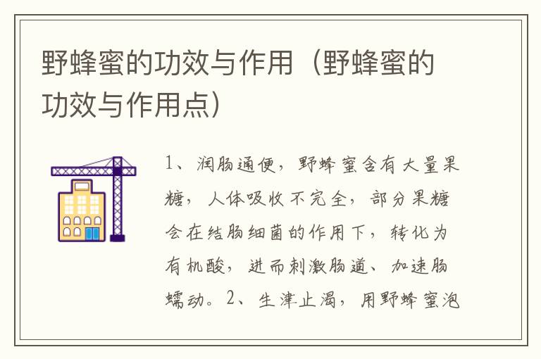 野蜂蜜的功效与作用（野蜂蜜的功效与作用点）