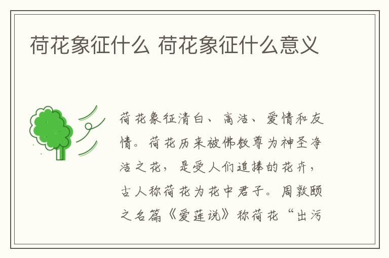 荷花象征什么 荷花象征什么意义
