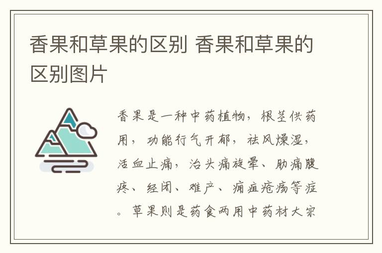 香果和草果的区别 香果和草果的区别图片