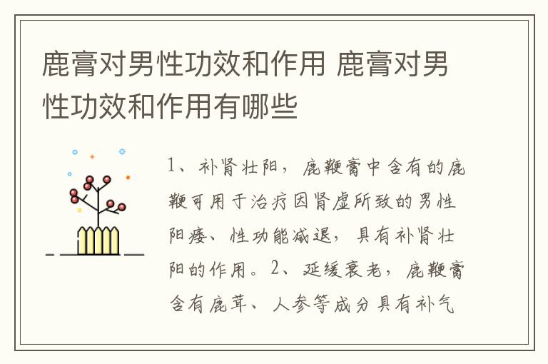 鹿膏对男性功效和作用 鹿膏对男性功效和作用有哪些