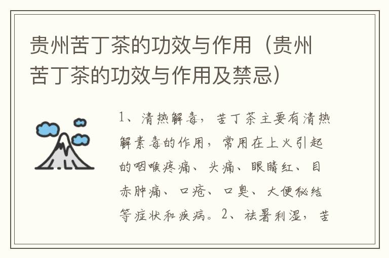 贵州苦丁茶的功效与作用（贵州苦丁茶的功效与作用及禁忌）